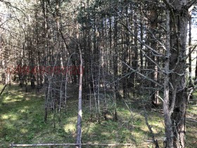 ПАРЦЕЛ, 2 000 m2