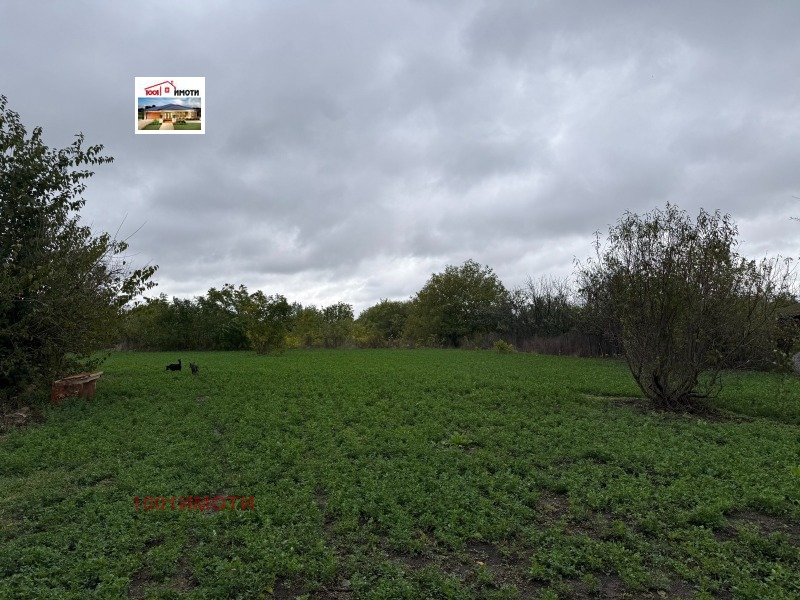 Продаја  Кућа регион Добрицх , Спасово , 124 м2 | 91896913 - слика [4]