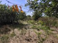 Продава ПАРЦЕЛ, с. Бенковски, област Добрич, снимка 2