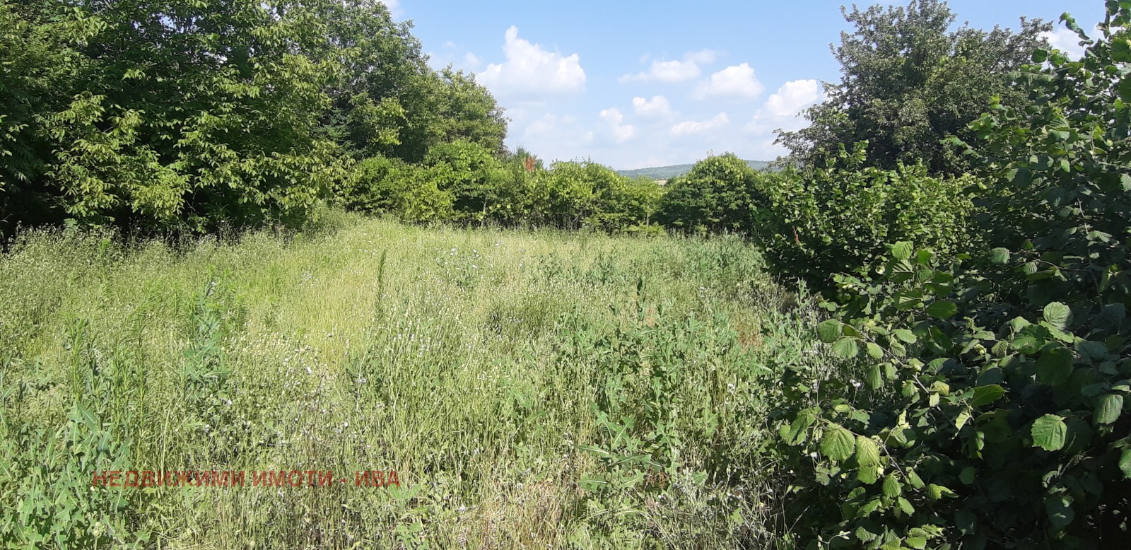 ������� ���� | Imot.bg � ����������� 8