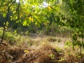 Продава ПАРЦЕЛ, гр. Перник, Варош, снимка 8