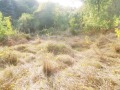 Продава ПАРЦЕЛ, гр. Перник, Варош, снимка 6