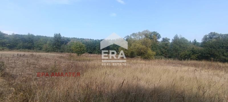 En venta  Trama Sofia , Bistritsa , 700 metros cuadrados | 54994811 - imagen [3]