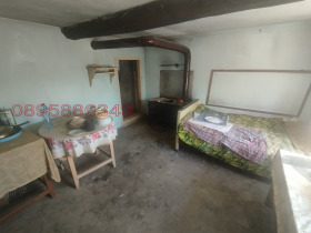 ����� ������� ����,���� �����, ���������