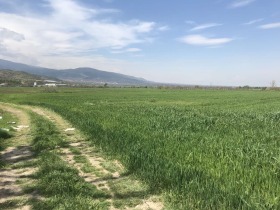 ����� ������� ���������� ����,��. ����������, ������ �������