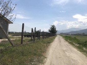 ����� ������� ���������� ����,��. ����������, ������ �������