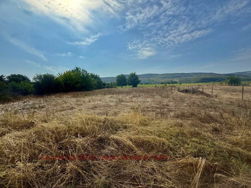 Na prodej  Dům oblast Veliko Tarnovo , Parvomajci , 320 m2 | 54567424 - obraz [15]