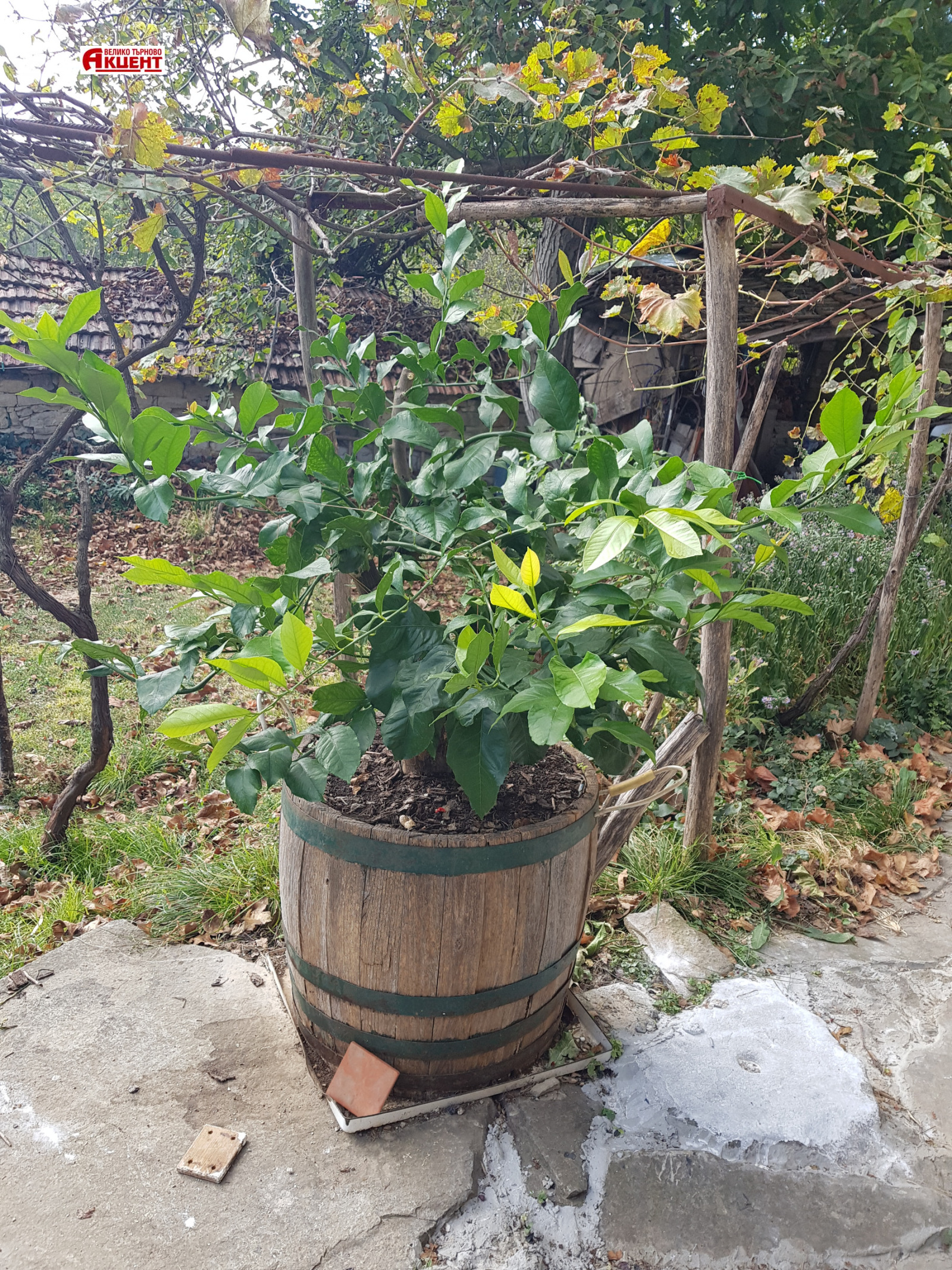 ������� ���� | Imot.bg � ����������� 14