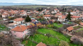 ������ ������� ����