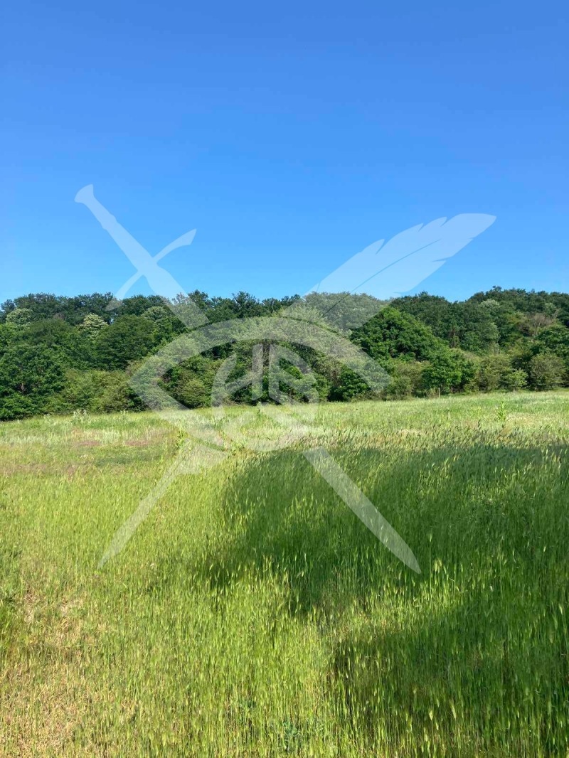 For Sale  Plot region Varna , Dolishte , 10000 sq.m | 22896654 - image [2]