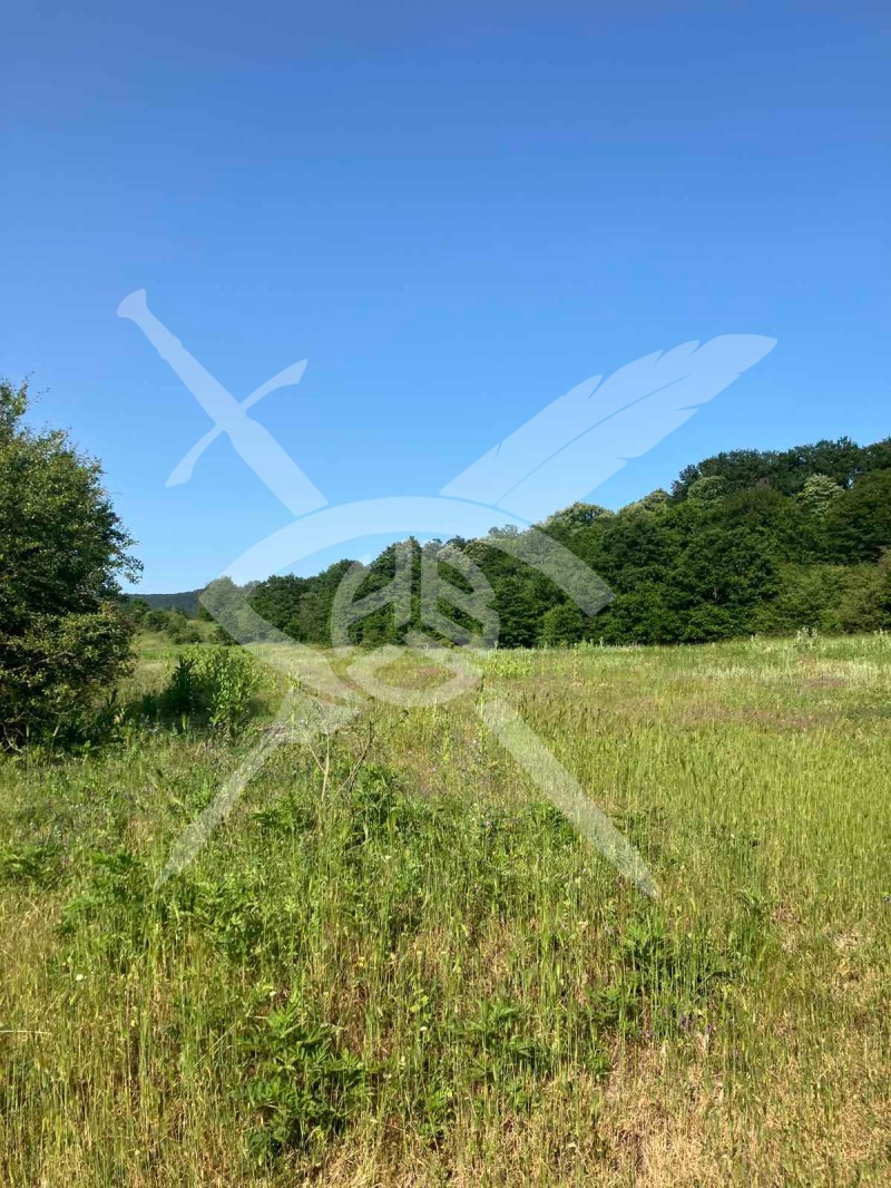 For Sale  Plot region Varna , Dolishte , 10000 sq.m | 22896654 - image [3]