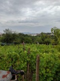 Продава ПАРЦЕЛ, гр. Кърджали, Веселчане, снимка 2