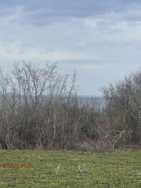 ����� ������� ������,��. ������, ������ ������