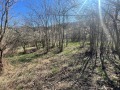 Продава КЪЩА, област Габрово, с. Лесичарка • 80000 € • 54042726 — Holmes.bg
