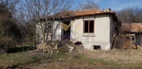 Hus Vidno, region Dobrich 2