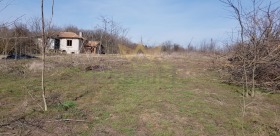 Hus Vidno, region Dobrich 4