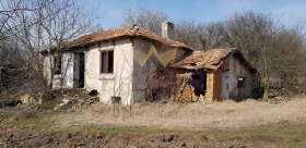 Hus Vidno, region Dobrich 1