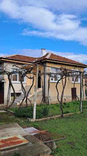 ����� ������� ����,�. ������, ������ ����� ������