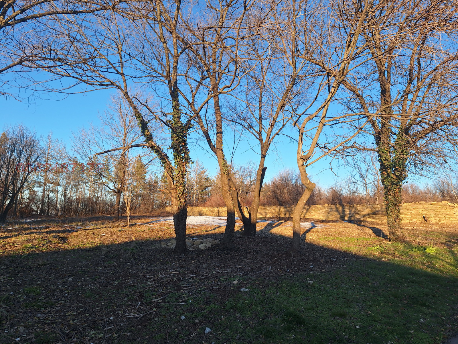 Продава ПАРЦЕЛ, с. Арбанаси, област Велико Търново, снимка 5 - Парцели - 54093038