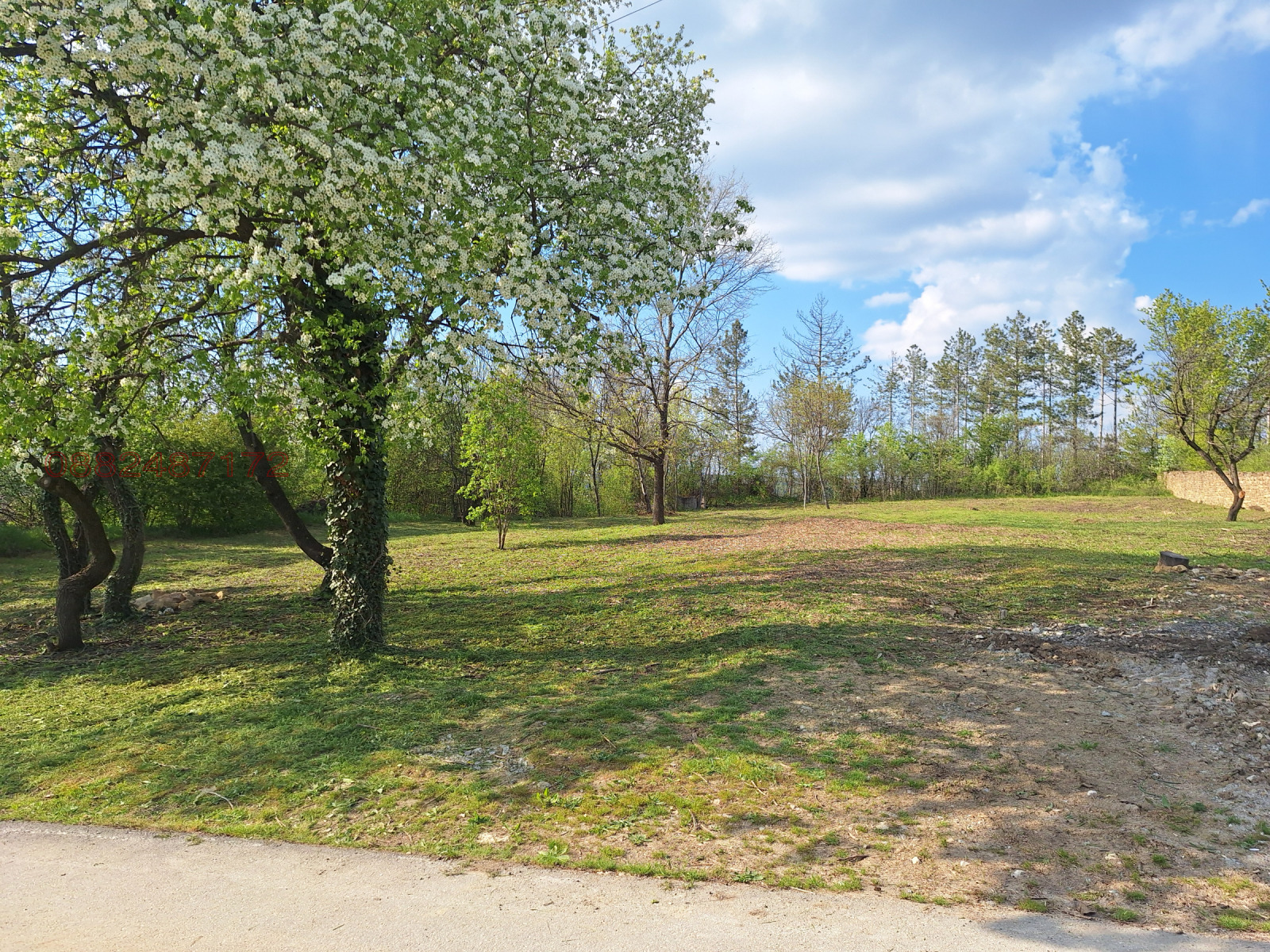 Продава ПАРЦЕЛ, с. Арбанаси, област Велико Търново, снимка 2 - Парцели - 54093038