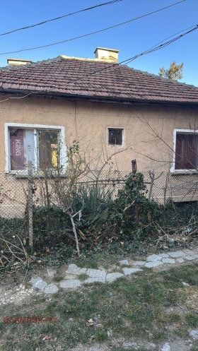 House Storgoziya, Pleven 2