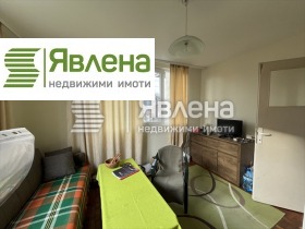 ����� ������� ����,���� �����, ����������