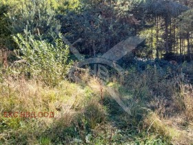 ������� ������ | Imot.bg � ����� ������ 2