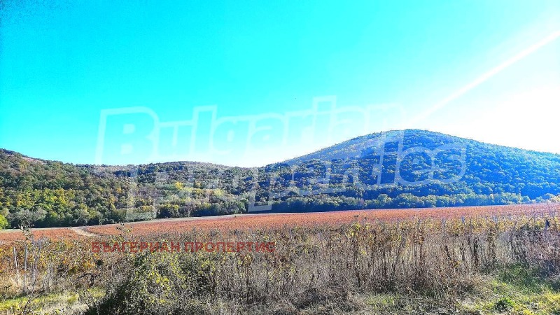 Продава  Къща област Стара Загора , с. Стоян-Заимово , 80 кв.м | 11284480 - изображение [4]