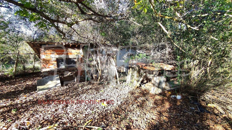 Продава  Къща област Стара Загора , с. Стоян-Заимово , 80 кв.м | 11284480 - изображение [15]