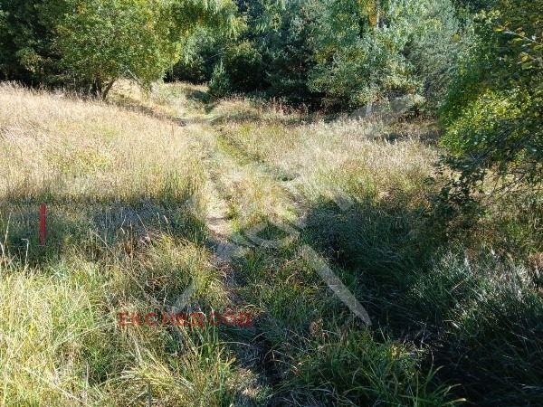 Продава ПАРЦЕЛ, с. Ситово, област Пловдив, снимка 3 - Парцели - 52808387
