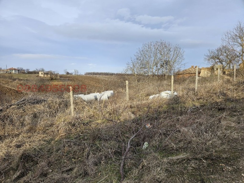 Продава ПАРЦЕЛ, с. Черна, област Добрич, снимка 5 - Парцели - 52903463