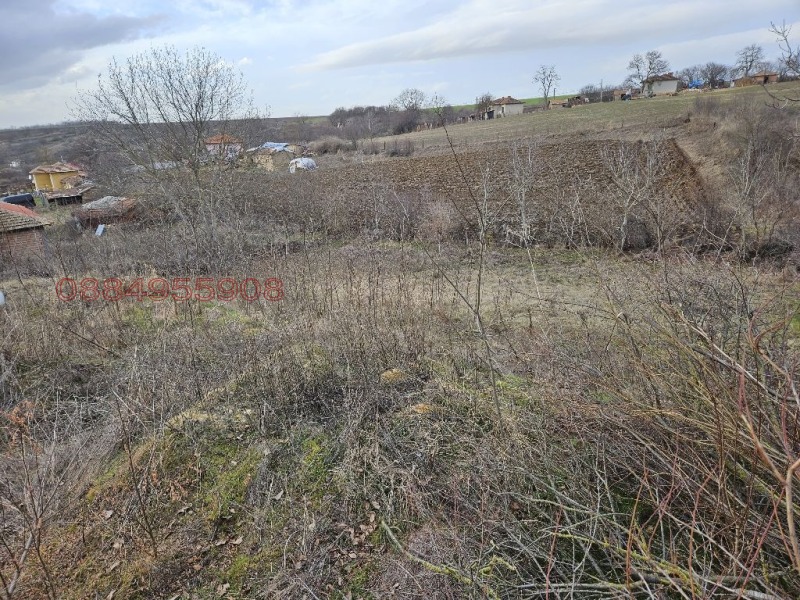 Продава ПАРЦЕЛ, с. Черна, област Добрич, снимка 4 - Парцели - 52903463