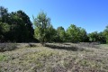 Продава ПАРЦЕЛ, област Габрово, с. Лоза • 24990 лв. • 41033106 — Holmes.bg