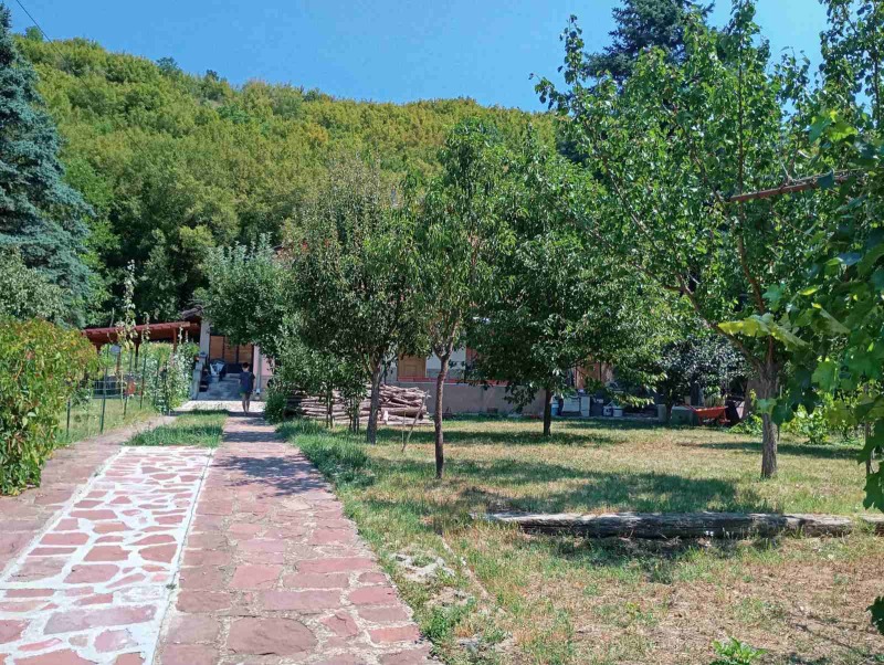 Продава  Къща област Плевен , с. Ралево , 208 кв.м | 66236489 - изображение [4]