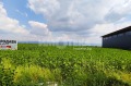 Продава ПАРЦЕЛ, с. Пролеша, област София област, снимка 6