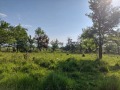 Продава ПАРЦЕЛ, област Благоевград, гр. Разлог • 177520 € / 347198.94 лв. • 47636033 5