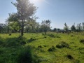 Продава ПАРЦЕЛ, област Благоевград, гр. Разлог • 177520 € / 347198.94 лв. • 47636033 4