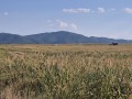 Продава  Парцел град София , гр. Банкя , 5150 кв.м | 10669168 - изображение [7]