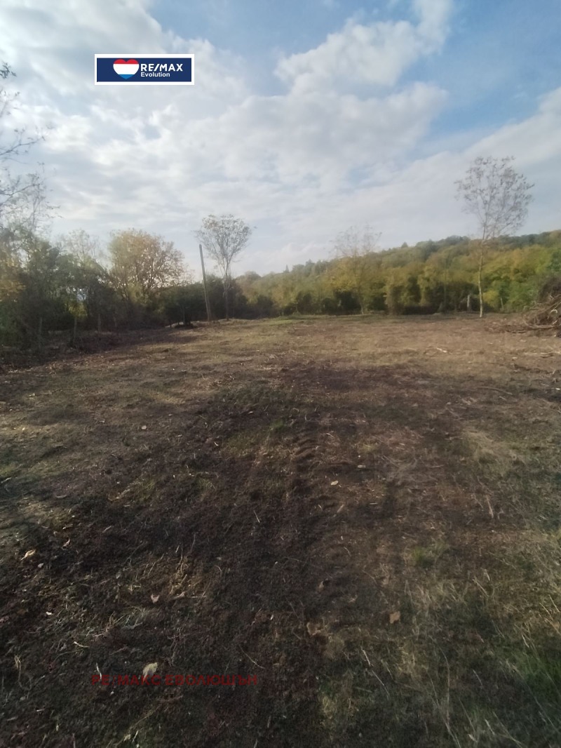 Продава ПАРЦЕЛ в област Търговище, с. Помощица - 2080 кв.м / 28 000 € » 54 763.24 лв., РЕ/МАКС ЕВОЛЮШЪН