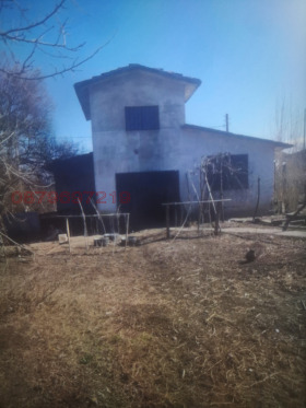 ����� ������� ����,���� ������, ������