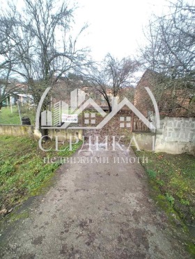 ������ ������� ������