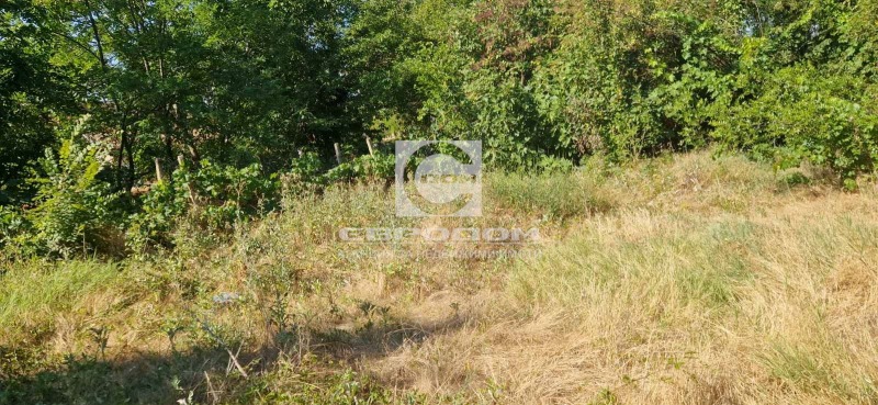 For Sale  House region Stara Zagora  , Dalboki , 146 sq.m | 84062982 - image [9]