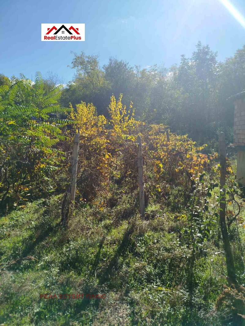 Продава КЪЩА, с. Гривица, област Плевен, снимка 3 - Къщи - 52221996