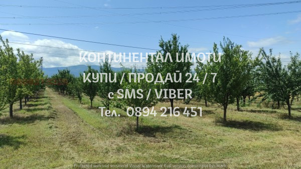 Продава ЗЕМЕДЕЛСКА ЗЕМЯ, с. Крумово, област Пловдив, снимка 3 - Земеделска земя - 52715873