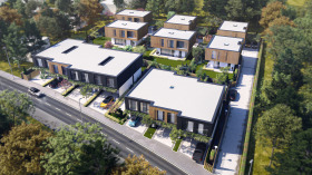 ������ ������� ����