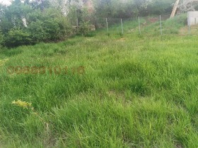 ������� ������ | Imot.bg � ����� ������ 8