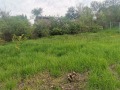 Продава ПАРЦЕЛ, с. Голема Раковица, област София област, снимка 10
