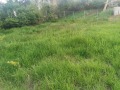 Продава ПАРЦЕЛ, с. Голема Раковица, област София област, снимка 8