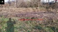Продава  Парцел област Велико Търново , гр. Килифарево , 400 кв.м | 72191271 - изображение [3]