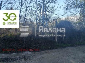 ������� ������ | Imot.bg � ����� ������ 8